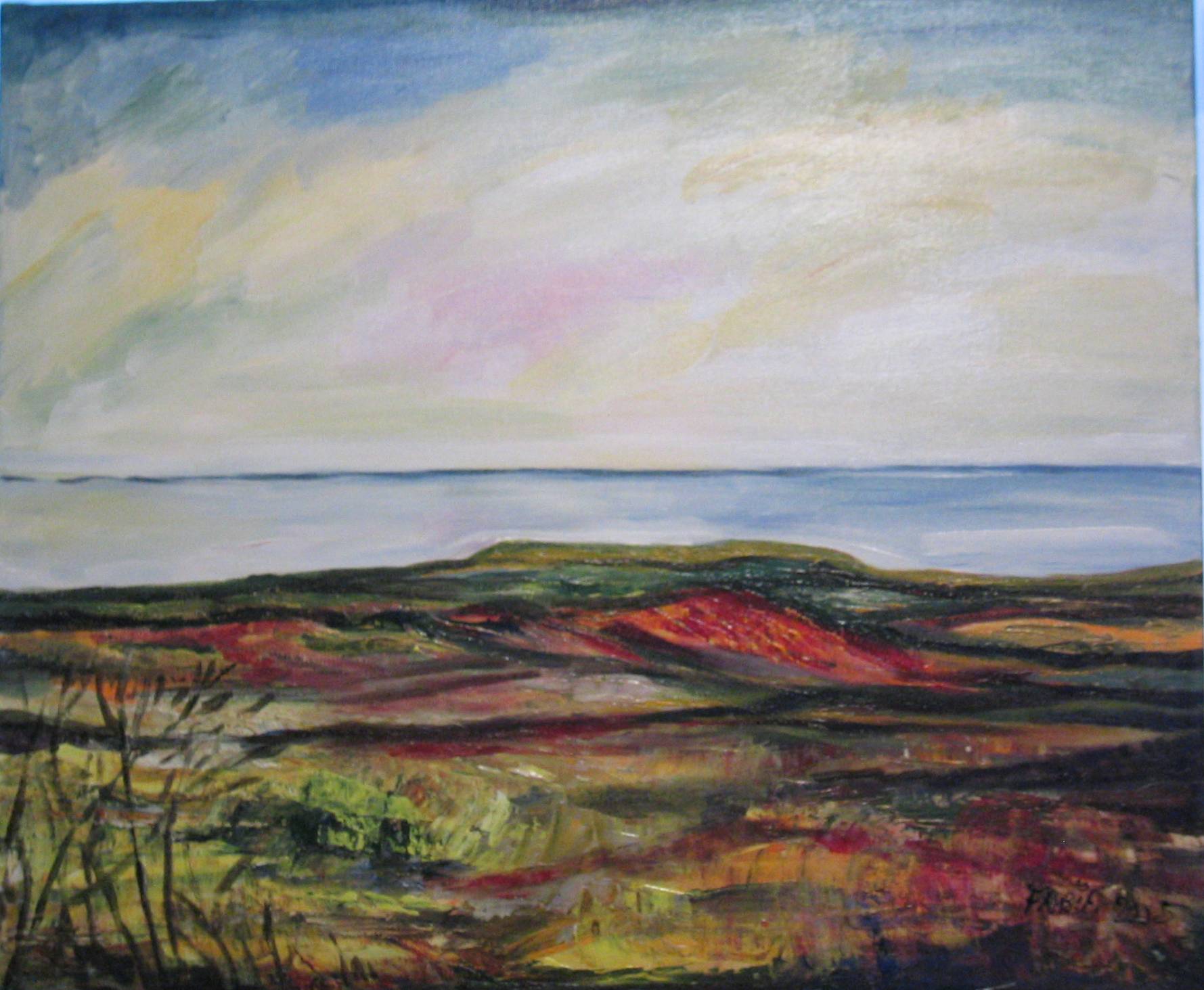 Les couleurs de la lande