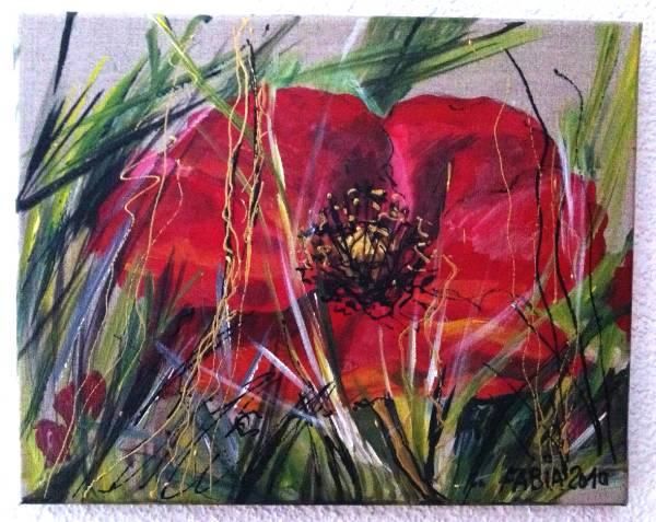 Coquelicot sauvage