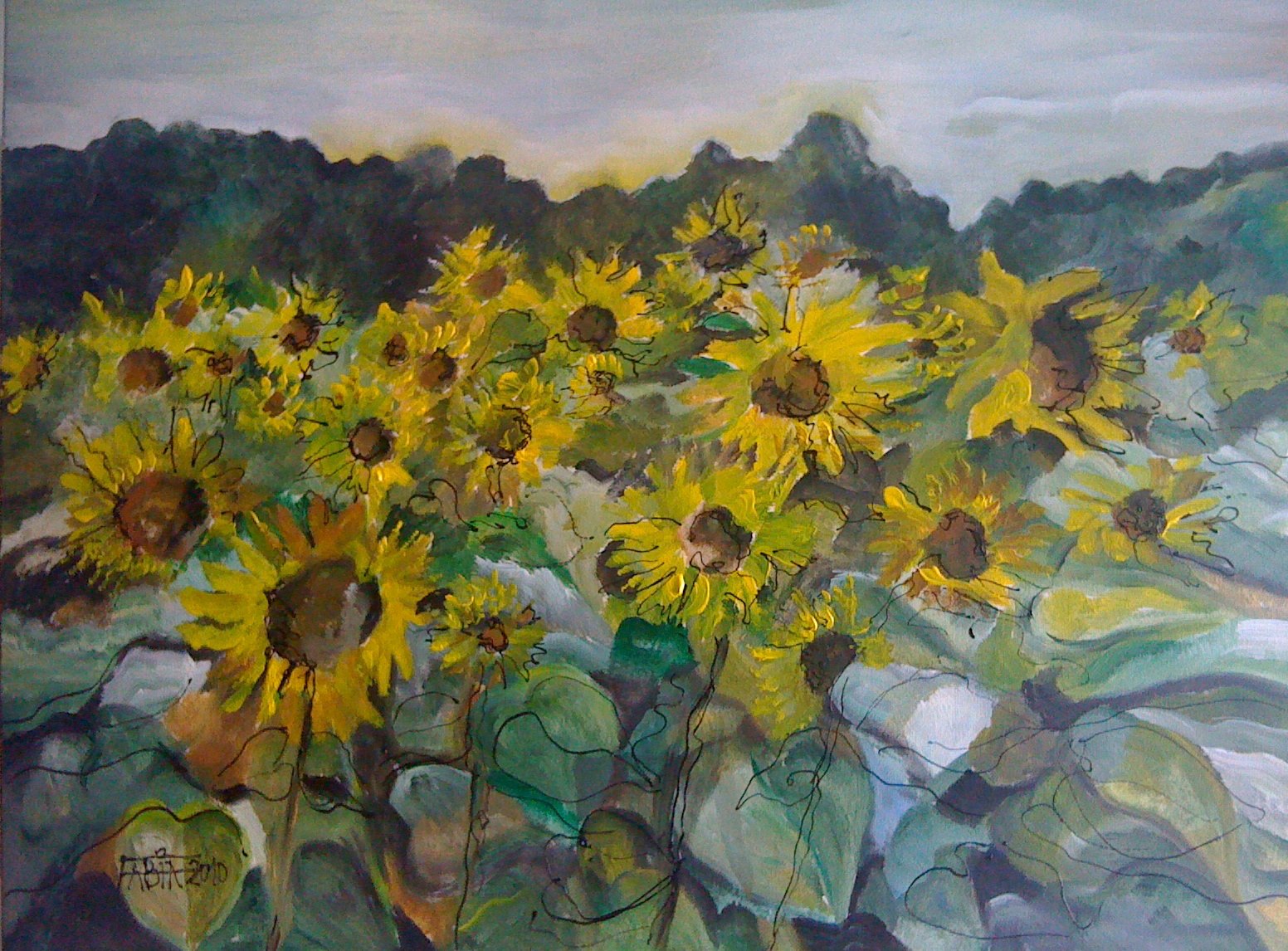 Les tournesols sentinelles