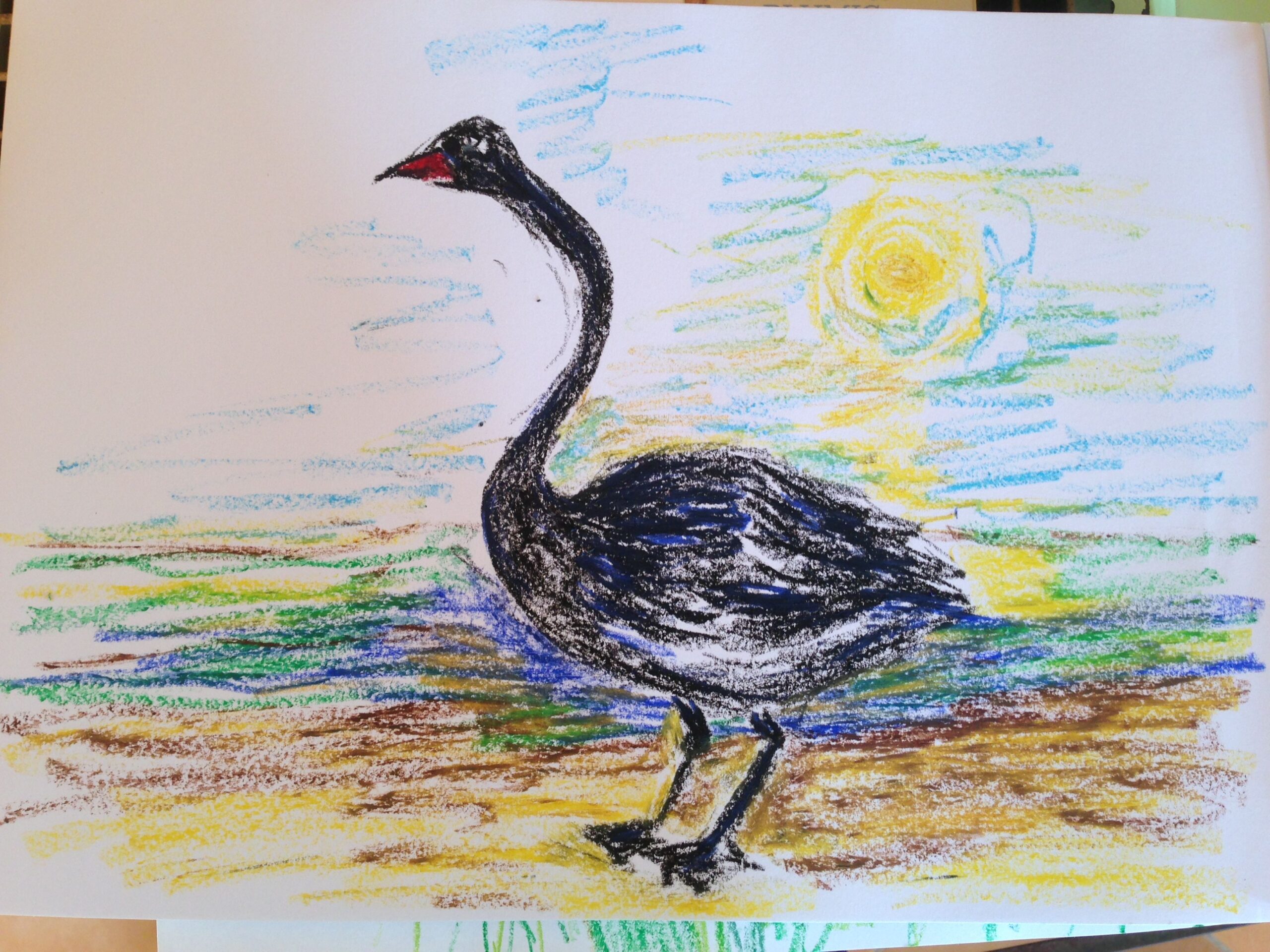 Le Cygne Noir