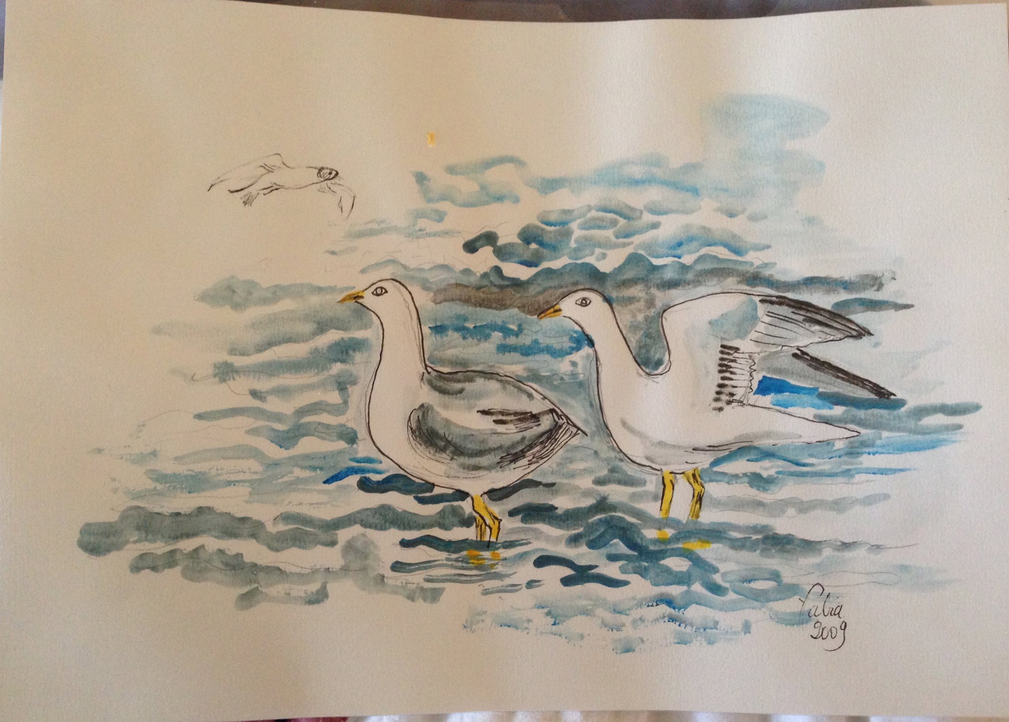Les oiseaux de sagesse