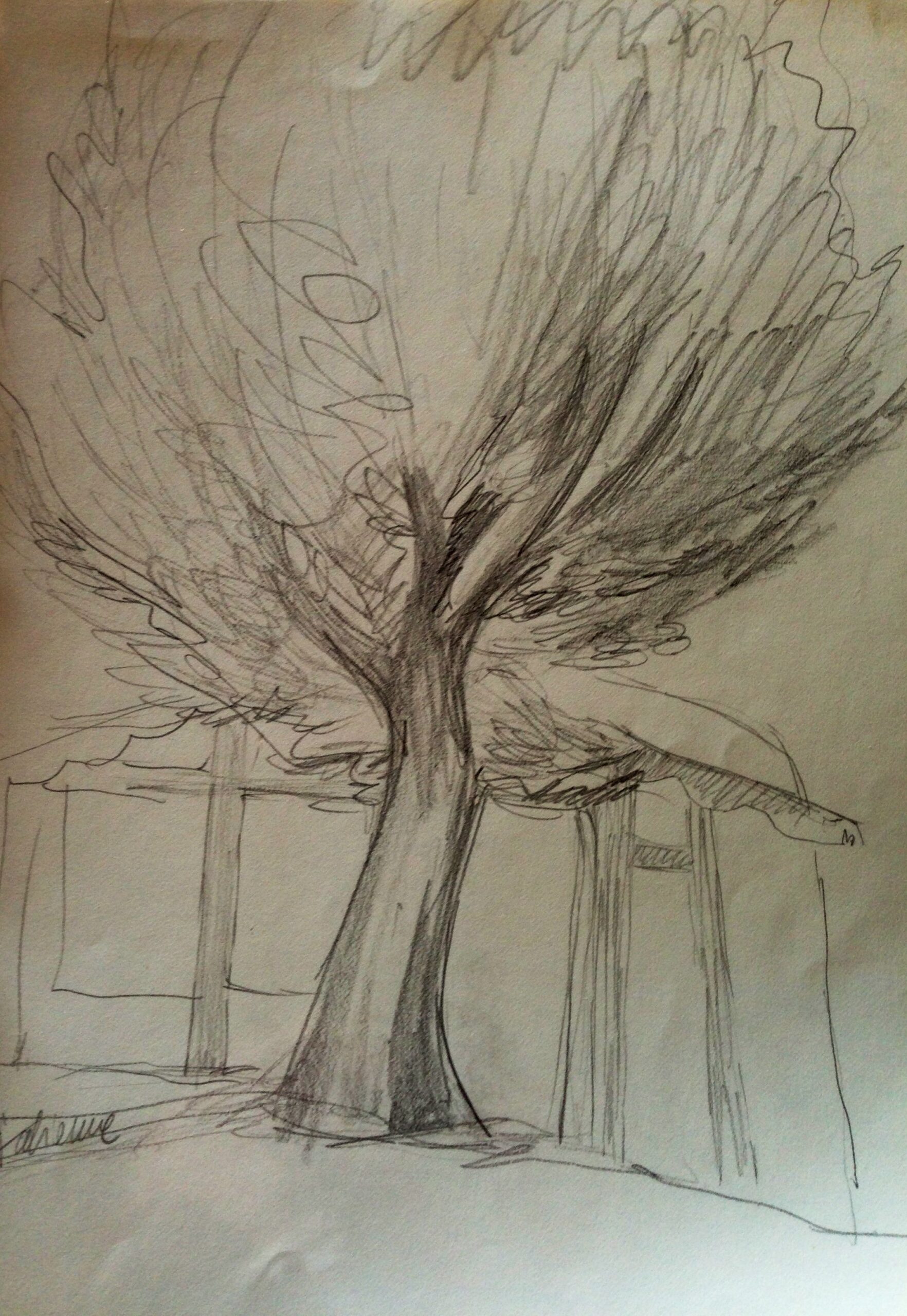 Mon arbre et moi
