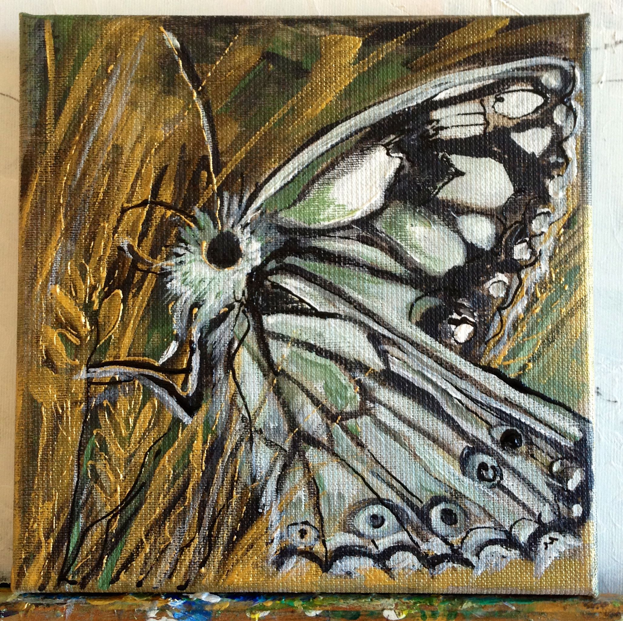 Le papillon d’argent