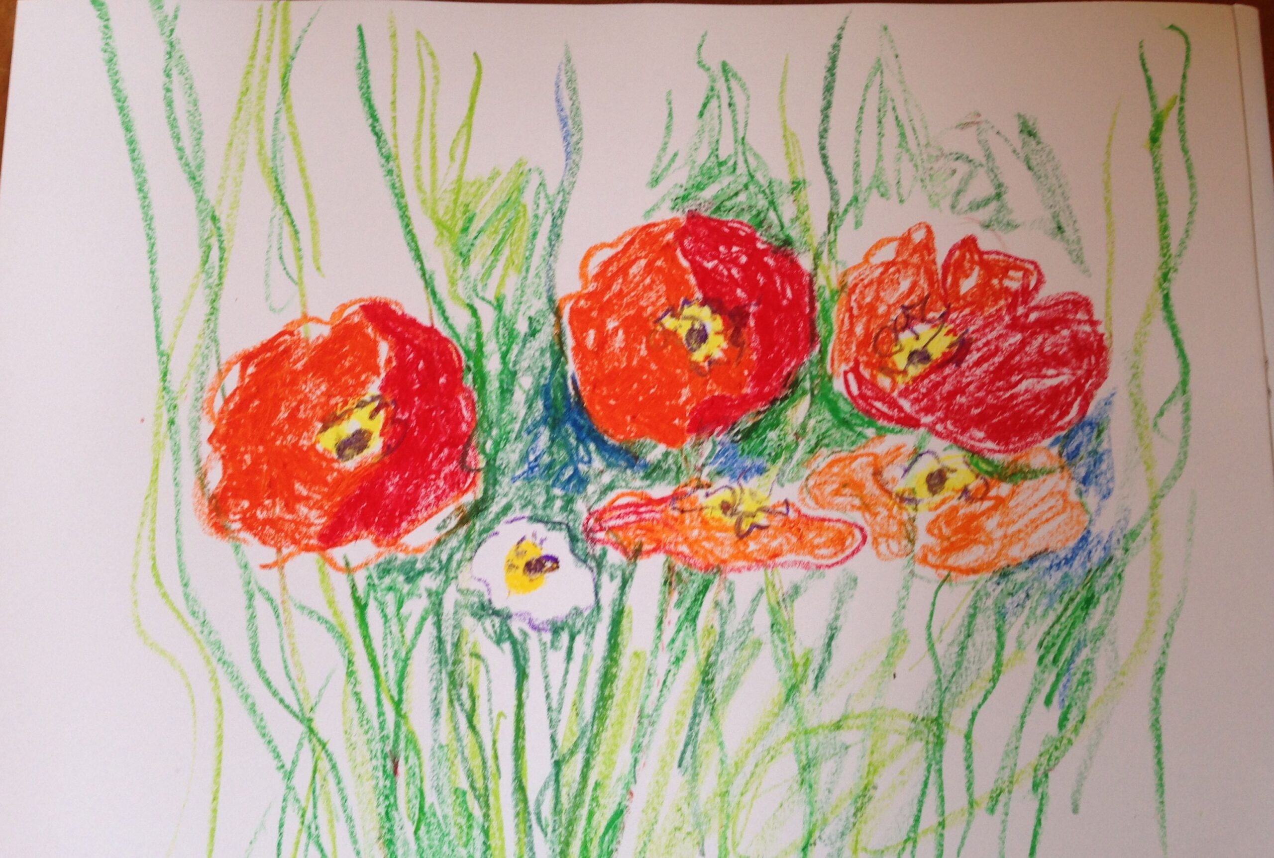 La chorale des coquelicots