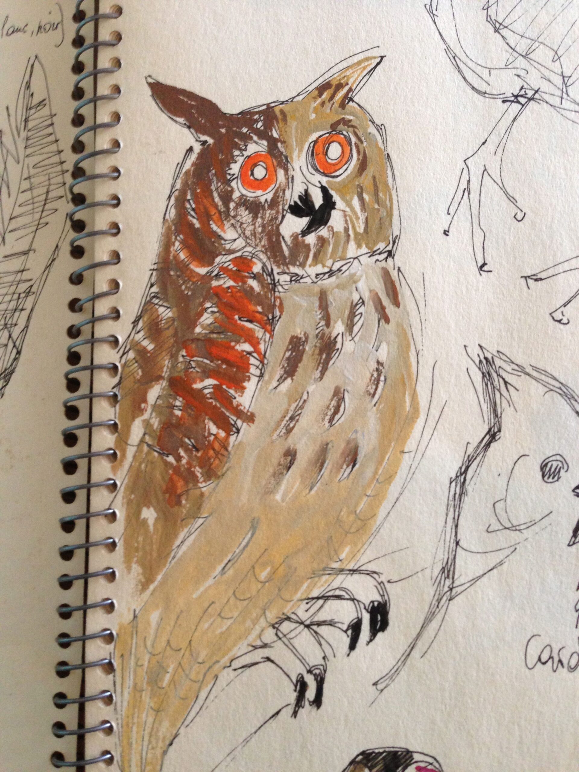 Le Roi-Hibou