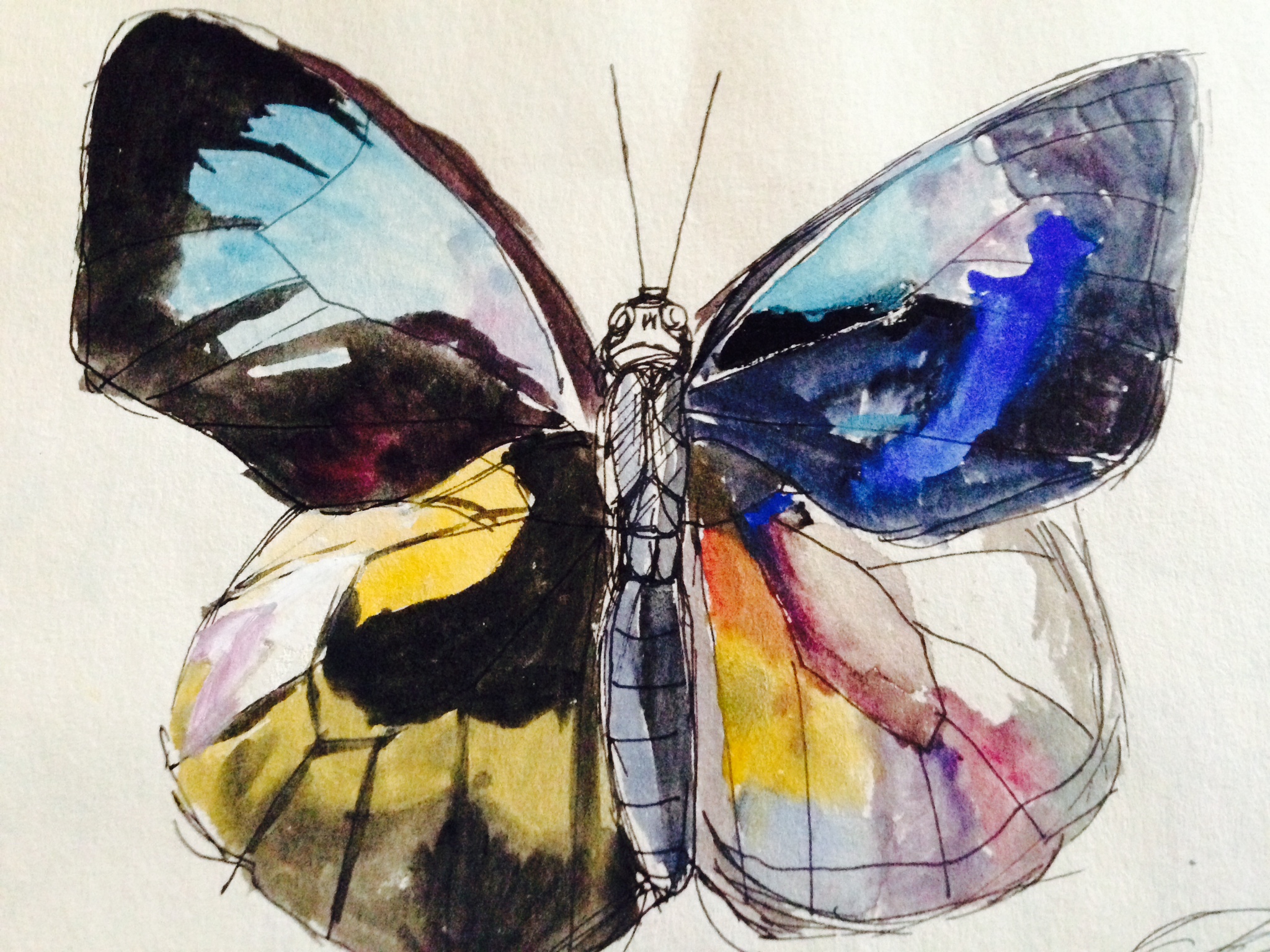 Le papillon de verre