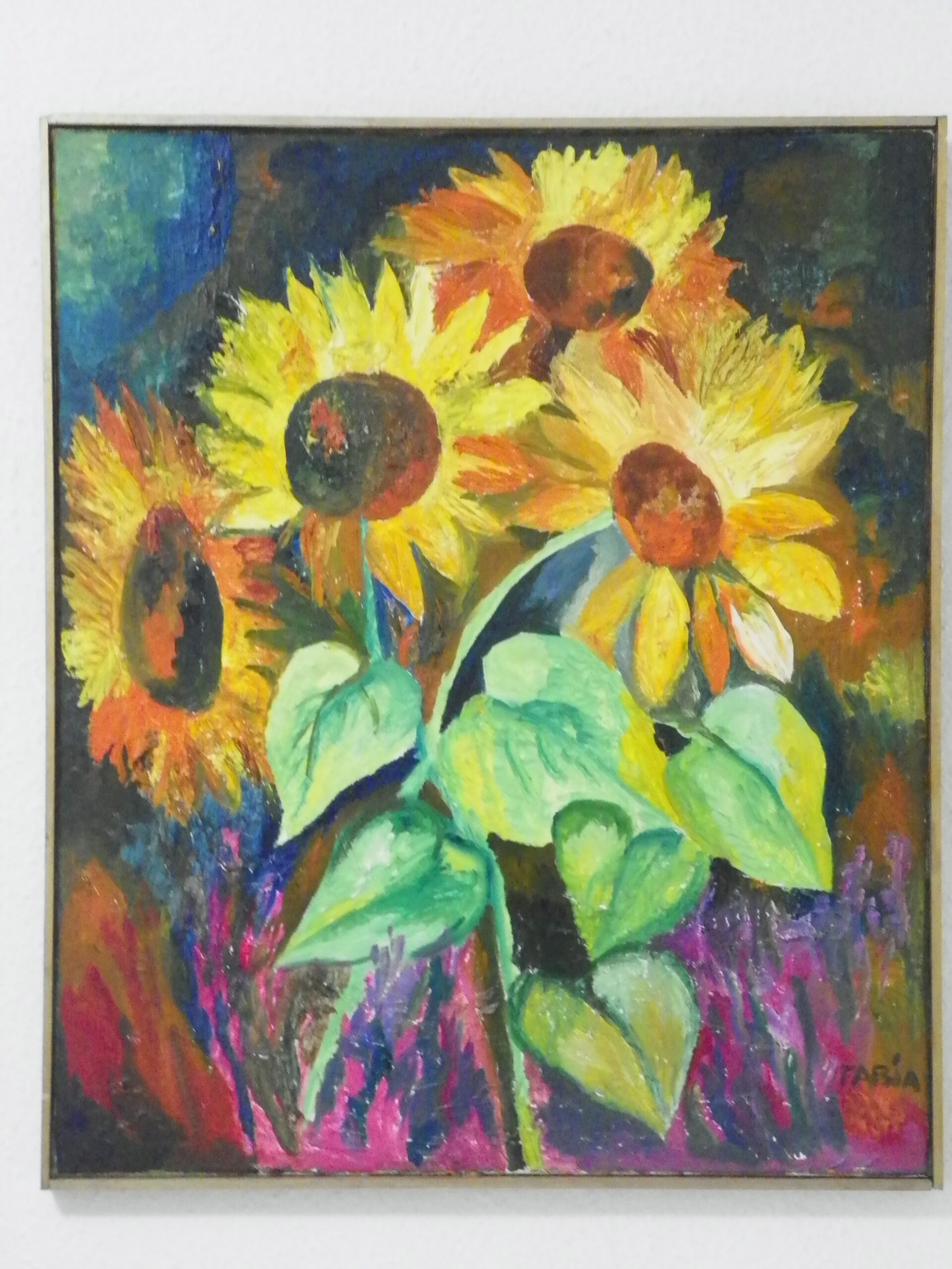 Tournesols Lune et Soleil