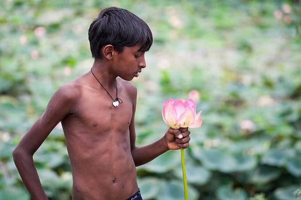 Dans le secret de la fleur