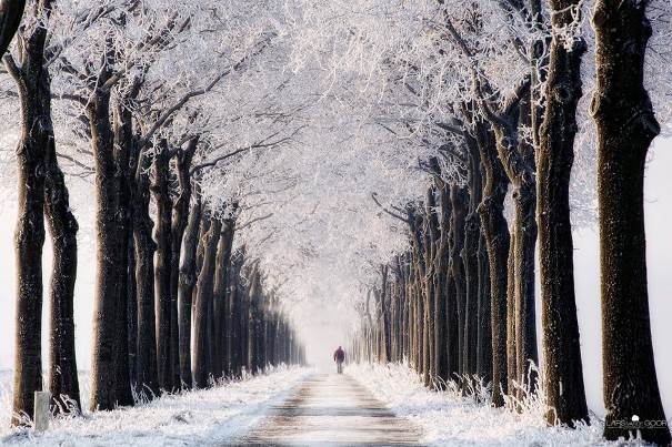 Adieu l'hiver