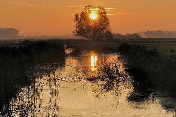 Le Soleil a embrasé la Nature