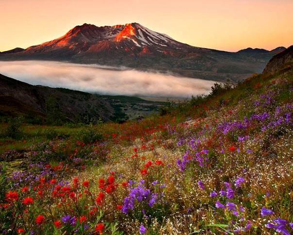 Au pied du volcan