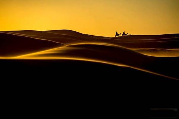 Dodelinant sur la dune