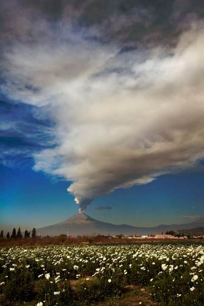 Quand souffle le volcan