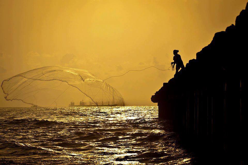 La pêche de sagesse