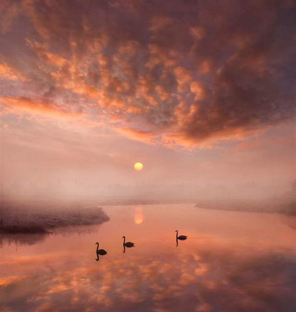 Le lac des signes