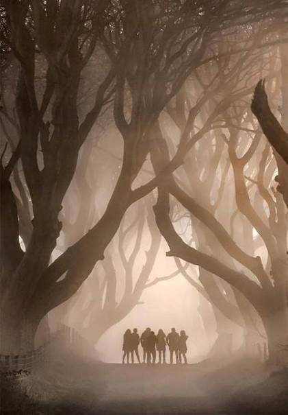 Promenons-nous dans les bois