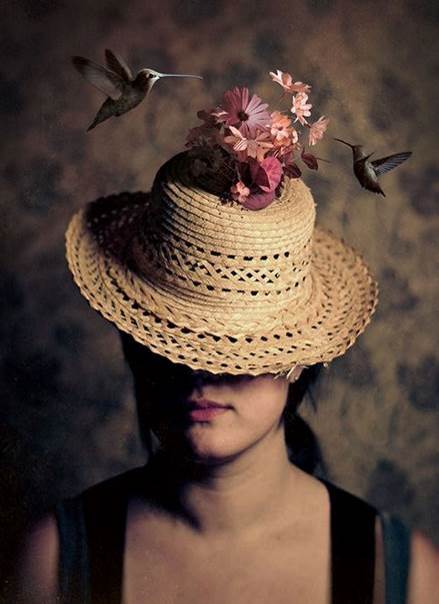 Le nid-chapeau