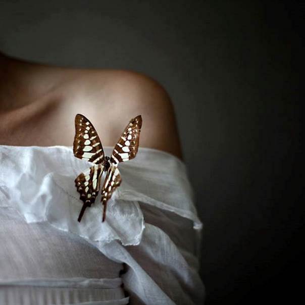 Le papillon sur l’épaule