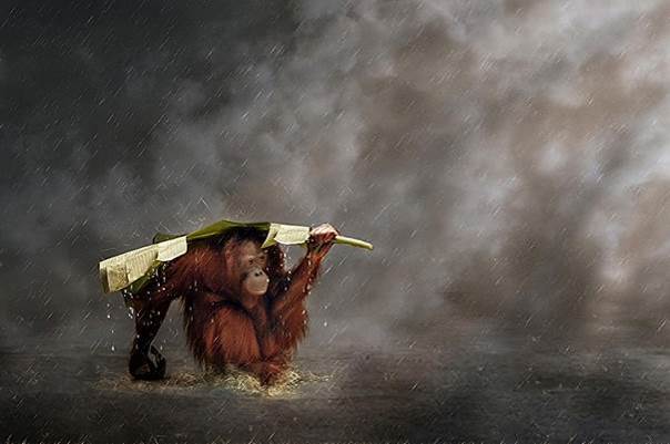 Je pense sous la pluie