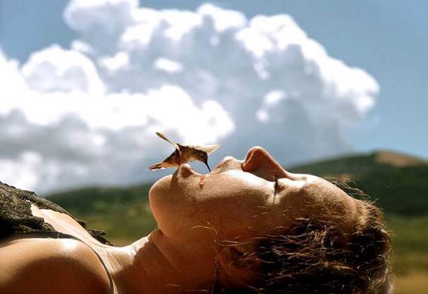 Le dentiste Colibri