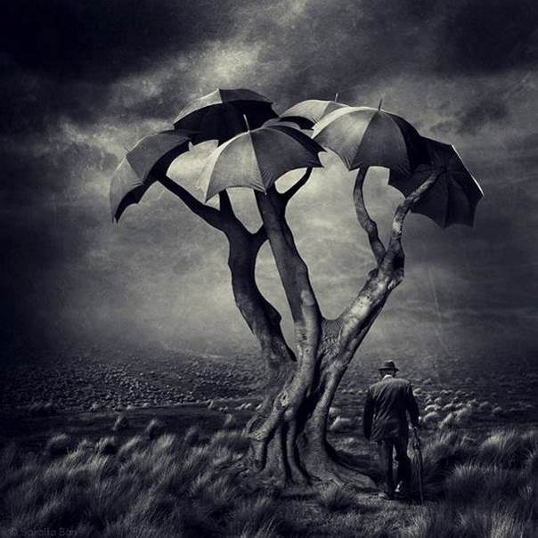 L’arbre aux pépins