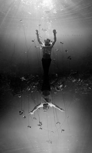 Sens dessus-dessous