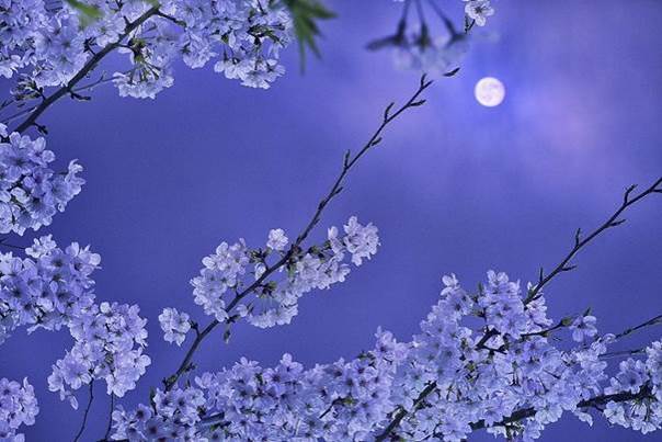 Quand la lune me sourit