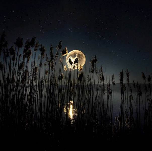 Ce soir, la Lune d’or