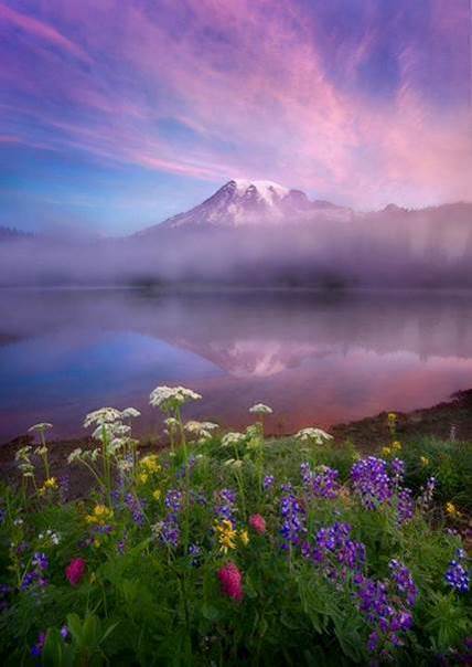 Mont rose