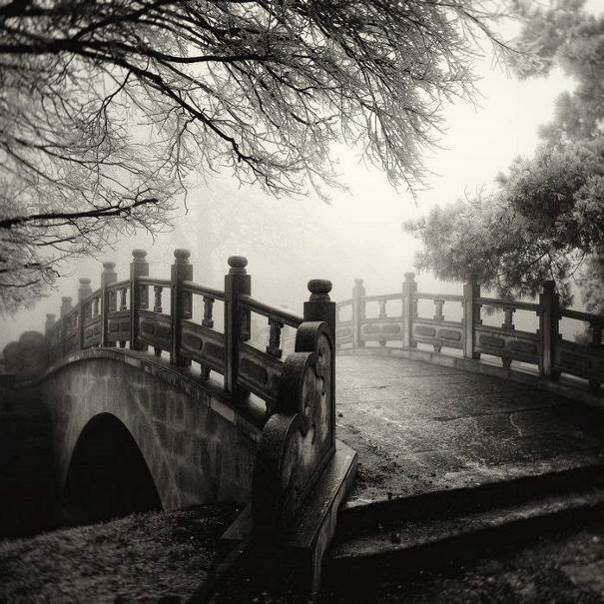 J’aime les ponts