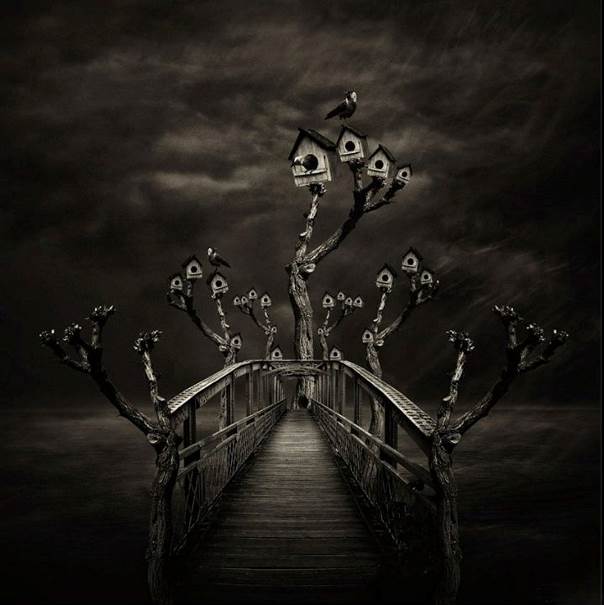 Le pont aux oiseaux