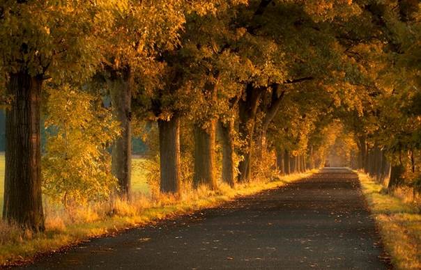 La route d’automne