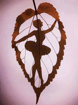 La danseuse effeuillée