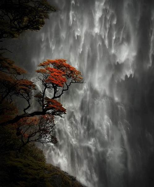 Chute libre