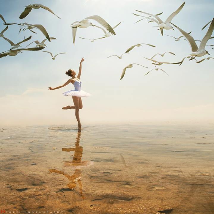Danse avec les oiseaux