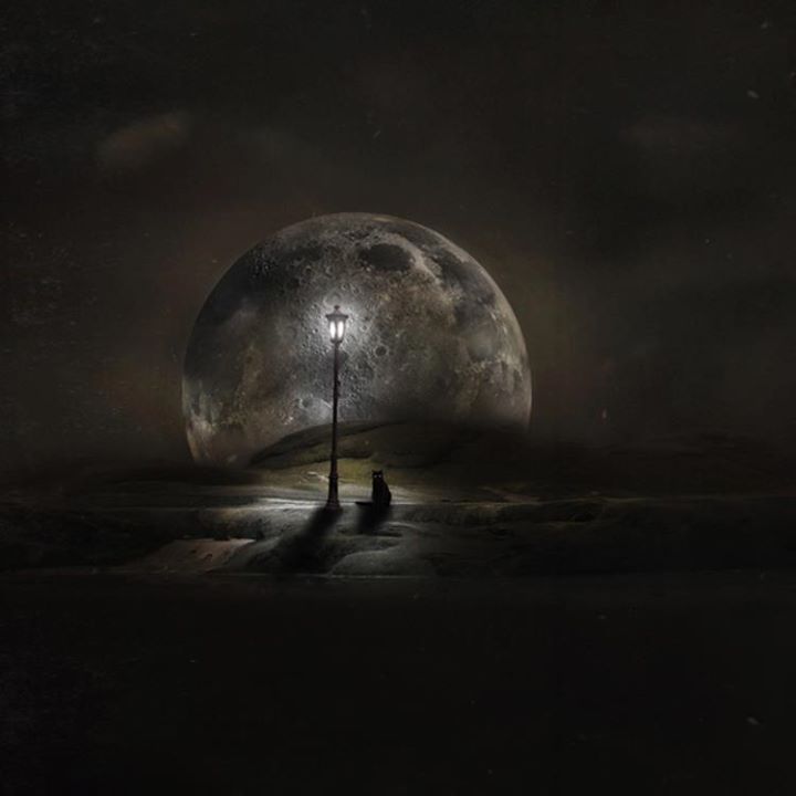 Voyage au bout de la Lune
