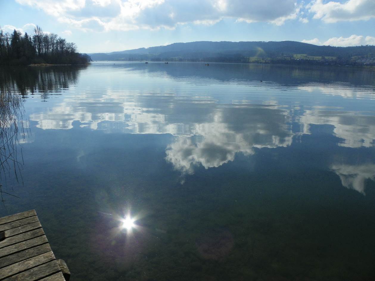 Sous les eaux, le soleil
