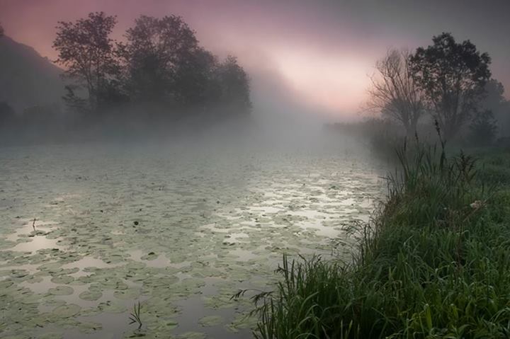 Aube et brouillard