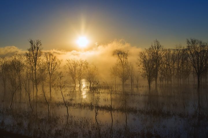 Entre aurore et crépuscule