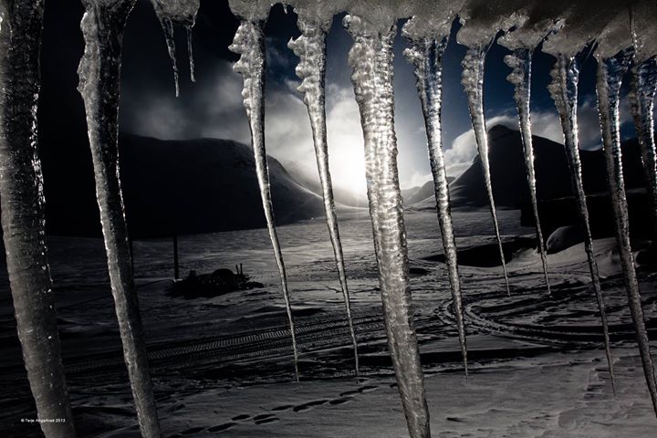 Les arbres d’eau