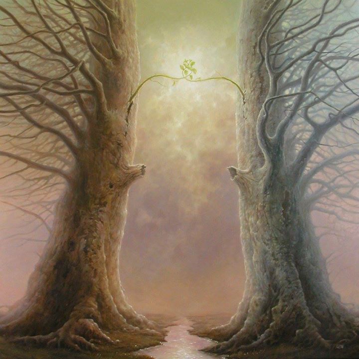 Branches d’Amour