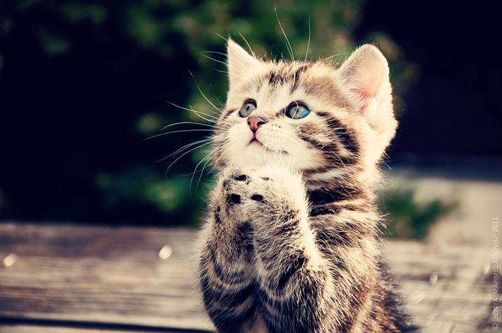 Dieu est par minou