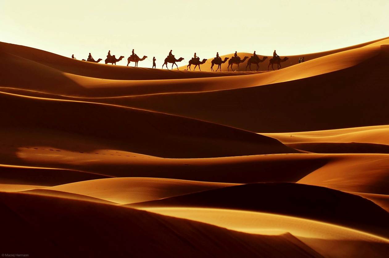 Entre les dunes