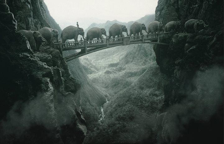 Le pont des éléphants