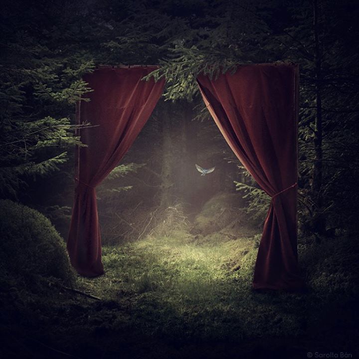 Au théâtre ce soir
