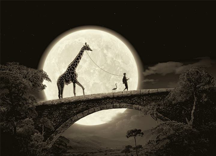 Balade au clair de lune