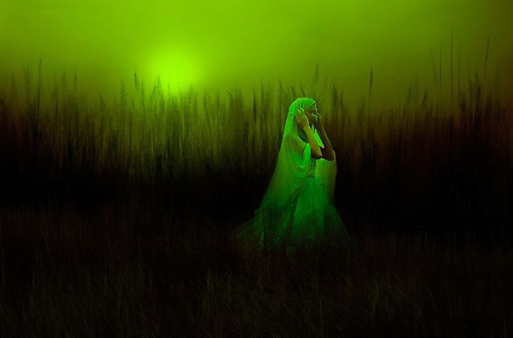 La verte luisante