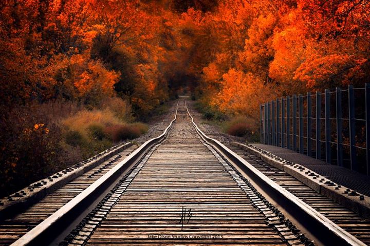 Repassage express