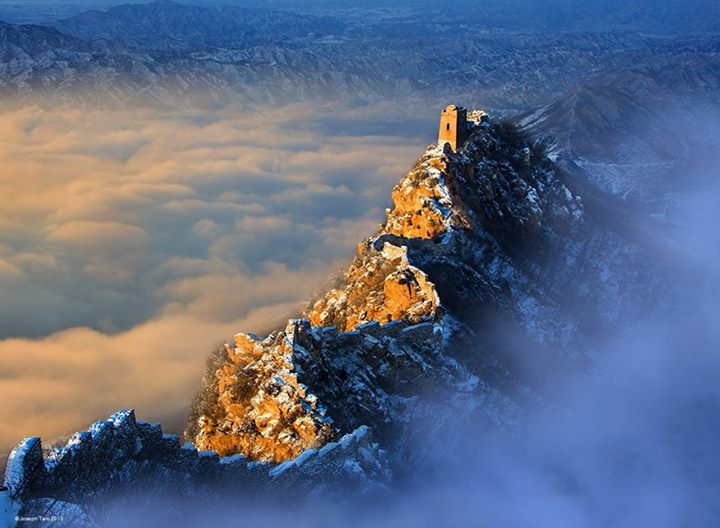 La crête-d’or
