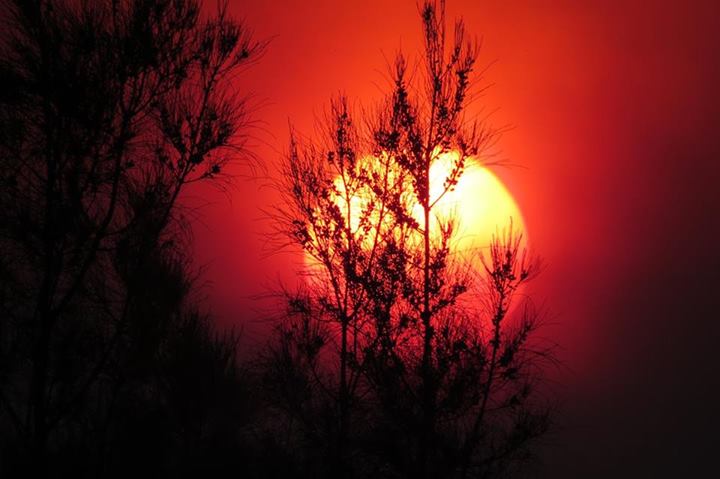 Les couleurs de la nature